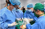 Nam thanh niên chết não hiến đa tạng cứu sống nhiều người