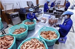 Bật 'công tắc' tăng trưởng từ cải cách thể chế
