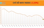 Dòng tiền ‘xoay quanh’ cà phê, MXV-Index giảm 2,3% trong tuần đầu tháng 6