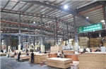 Dữ liệu trở thành 'hộ chiếu' cho nông, lâm sản Việt vào EU