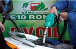 Tây Ninh siết chặt kiểm tra hoạt động kinh doanh xăng sinh học E10