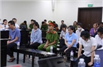 Tự điều chỉnh công thức thực phẩm, 2 vợ chồng giám đốc Công ty Herbitech hầu tòa