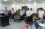 Che giấu doanh thu, hợp thức hóa dòng tiền trong vụ thực phẩm giả tại Công ty Herbitech