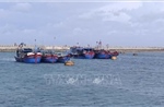 Hải Phòng dùng ra đa hỗ trợ tàu cá về nơi tránh trú bão số 1