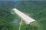 Tai nạn tại trang trại lợn ở Thanh Hóa làm 5 người tử vong và 2 người bị thương