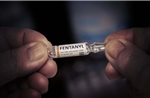 Italy báo động sau vụ mất trộm fentanyl tại bệnh viện
