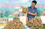 Hưng Yên siết quản lý nguồn thu từ thương mại điện tử và nền tảng số