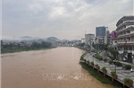 Bốn tỉnh khu vực Bắc Bộ chủ động ứng phó với lũ