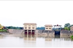 Chủ động phòng, chống thiên tai, bảo vệ các công trình đê điều xung yếu