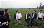 Đồng chí Xaysomphone Phomvihane và những đóng góp to lớn cho quan hệ đặc biệt Việt Nam - Lào