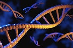 Lo ngại về công nghệ mới có thể &#39;hút DNA từ không khí&#39;