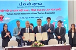 Lượng khách trao đổi giữa Việt Nam và Hàn Quốc tăng trưởng mạnh mẽ