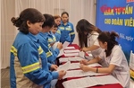 Văn hóa doanh nghiệp - 'trụ cột mềm' của nền kinh tế hiện đại - Bài 2: Hệ điều hành giúp doanh nghiệp đứng vững