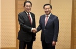 Phó Thủ tướng Chính phủ Lê Minh Khái gặp Thủ tướng Nhật bản Kishida Fumio 