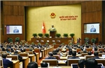 Sửa đổi Hiến pháp năm 2013 mở đường cho bộ máy hoạt động hiệu lực, hiệu quả