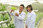 Gỡ ‘điểm nghẽn’ Nghị quyết 57 - Bài 2: Sẵn sàng nguồn nhân lực cao
