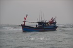Bình Thuận: Tích cực tìm kiếm thuyền viên mất tích trên biển