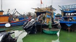 Tiếp tục kêu gọi 51 tàu cá di chuyển về nơi an toàn tránh bão Noru 