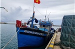 Trung tâm Dịch vụ Hậu cần - Kỹ thuật đảo Trường Sa khắc phục sự cố cho tàu cá Bình Định