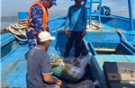 Cảnh sát biển bắt giữ tàu vận chuyển thực phẩm không rõ nguồn gốc