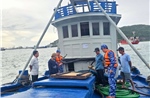 Cảnh sát biển xử lý gần 650 vụ vi phạm pháp luật trên biển với số tiền khoảng 50 tỷ đồng