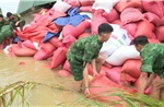 Lực lượng vũ trang giúp dân khắc phục hậu quả bão số 5