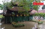 Trải nghiệm Tết Trung thu truyền thống tại Bảo tàng Dân tộc học Việt Nam 