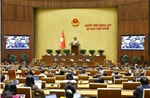 Ngày 20/11, Quốc hội thảo luận Dự án Luật sửa đổi, bổ sung một số điều của Luật Giáo dục