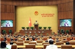 Ngày 21/11, Quốc hội thảo luận nhiều dự án luật quan trọng