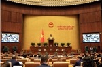 Nhiều dự án luật được đại biểu Quốc hội thảo luận sôi nổi