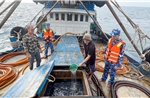Bắt giữ tàu cá chở khoảng 100.000 lít dầu DO trái phép trên biển