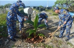 Vùng 4 Hải quân tiếp nhận 340.000 cây xanh để ‘Xanh hóa Trường Sa’