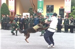 Đoàn đại biểu cấp cao Bộ Quốc phòng hai nước tham quan Biên phòng sử dụng chó nghiệp vụ đánh bắt tội phạm ma túy