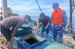 Cảnh sát biển bắt giữ tàu cá vận chuyển trái phép 40.000 lít dầu DO