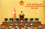 Tăng cường năng lực thực thi ở cấp trực tiếp xử lý tình huống