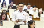 Gắn phát triển đô thị với quốc phòng, an ninh và kinh tế biển
