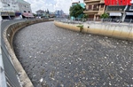 TP Hồ Chí Minh: Rác thải phủ kín mặt kênh Nước Đen