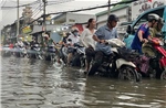  TP Hồ Chí Minh: Triều cường dâng cao, nhiều tuyến đường ngập sâu