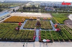 Người dân, du khách nô nức check-in lễ hội hoa Tết '4 miền' tại TP Hồ Chí Minh