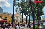 TP Hồ Chí Minh: Nắng gắt bao trùm, những con đường xanh trở thành nơi ‘giải nhiệt’