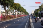 Hoa giấy phủ sắc rực rỡ trên nhiều tuyến đường cửa ngõ TP Hồ Chí Minh