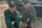 TP Hồ Chí Minh: Bàn giao và thả 2 cá thể vích về với môi trường tự nhiên