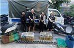 Công an TP Hồ Chí Minh triệt xóa nhóm chuyên trộm cắp, tiêu thụ mèo quy mô lớn