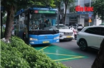 Gần 1,6 triệu lượt khách đi xe buýt sau 6 ngày miễn phí vé tại TP Hồ Chí Minh
