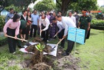 TP Hồ Chí Minh trồng cây bàng vuông do huyện đảo Trường Sa gửi tặng 