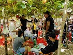Hà Giang và Ninh Thuận đẩy mạnh xúc tiến, quảng bá du lịch tại TP Hồ Chí Minh