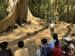 Nhiều du khách &#39;trốn nắng&#39;, đi khám phá rừng Nam Cát Tiên