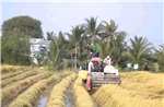 Triển lãm nông nghiệp và chăn nuôi thúc đẩy chuyển giao công nghệ và xuất khẩu bền vững