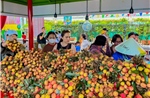 Đẩy mạnh quảng bá nông sản Việt qua Lễ hội trái cây Nam bộ năm 2025