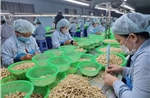 Doanh nghiệp chạy đua giao hàng sang Mỹ trước ‘giờ G&#39; áp thuế đối ứng